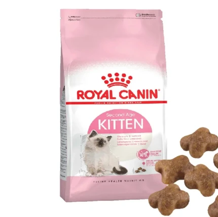 royal kıtten